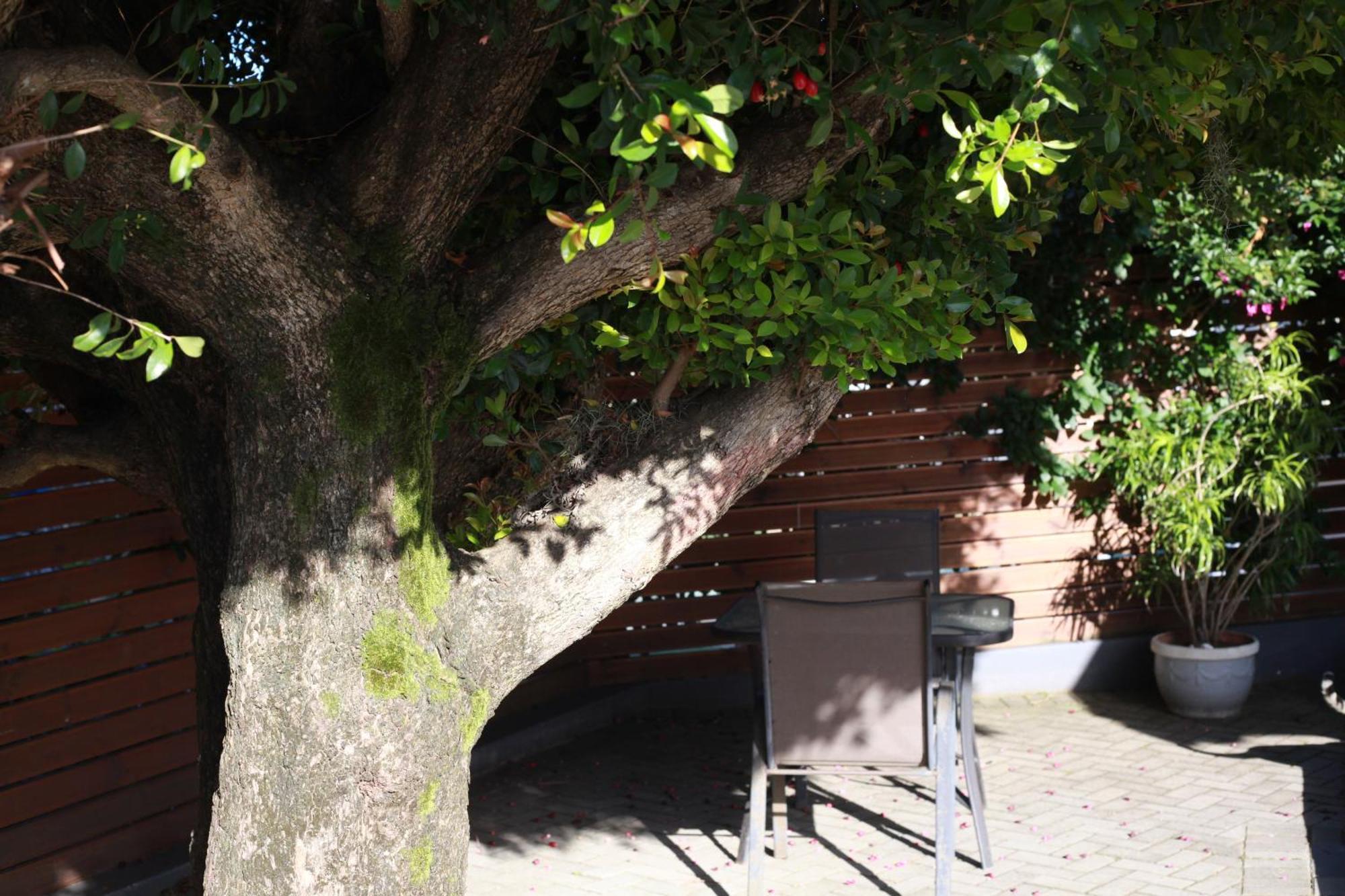Reef View Bnb East London Esterno foto